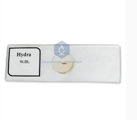 Hydra Slide